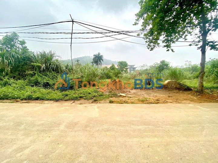 Đất nền Đông Xuân Quốc Oai 1.051m² - Sổ đỏ chính chủ