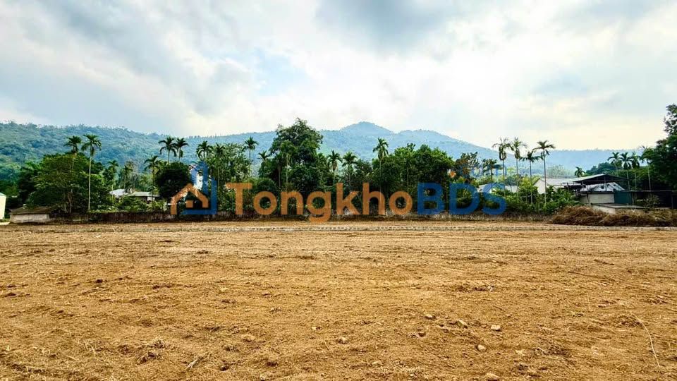 Đất nền Cư Yên Lương Sơn 1.000m² 3 tỷ - Hạ tầng hoàn thiện