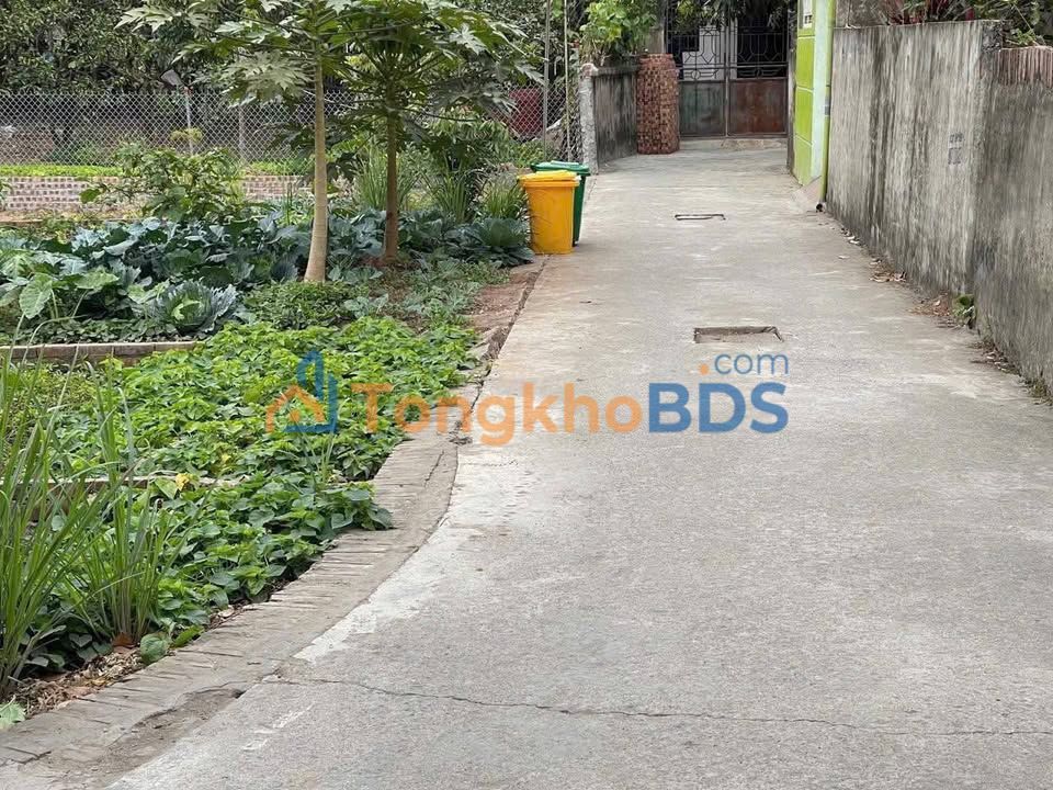 Đất thổ cư Như Quỳnh 63m² 2 tỷ - Sổ đỏ chính chủ