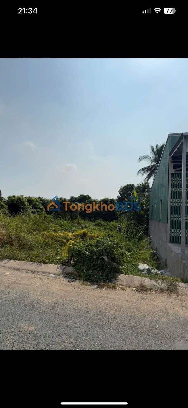 Đất nền Châu Thành An Giang 140m² 2.25 tỷ - Sổ đỏ chính chủ