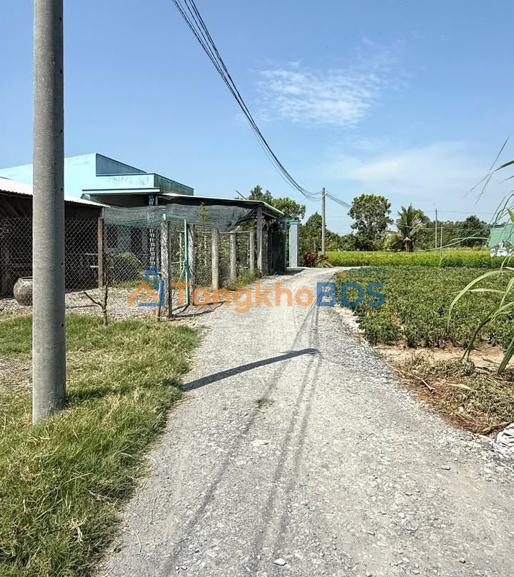 Đất Mỹ Lộc Cần Giuộc 280m² giá 1.5 tỷ - Sổ đỏ chính chủ