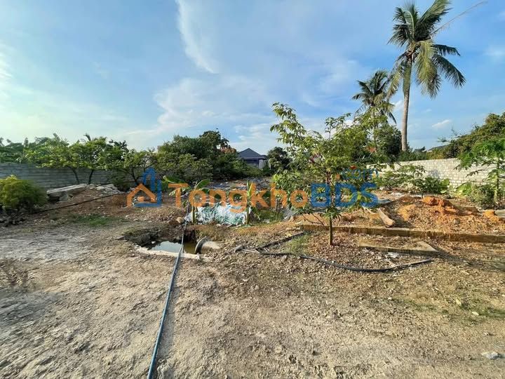 Đất nền Liên Xuân 760m² 3.8 tỷ - Sổ đỏ chính chủ