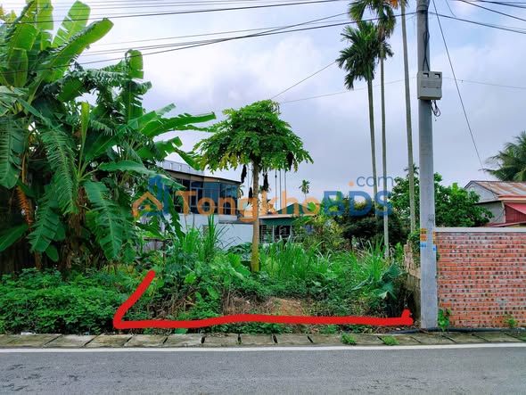 Đất nền Thôn Hầu Lâm Động 110m² 2 tỷ - Sổ đỏ chính chủ