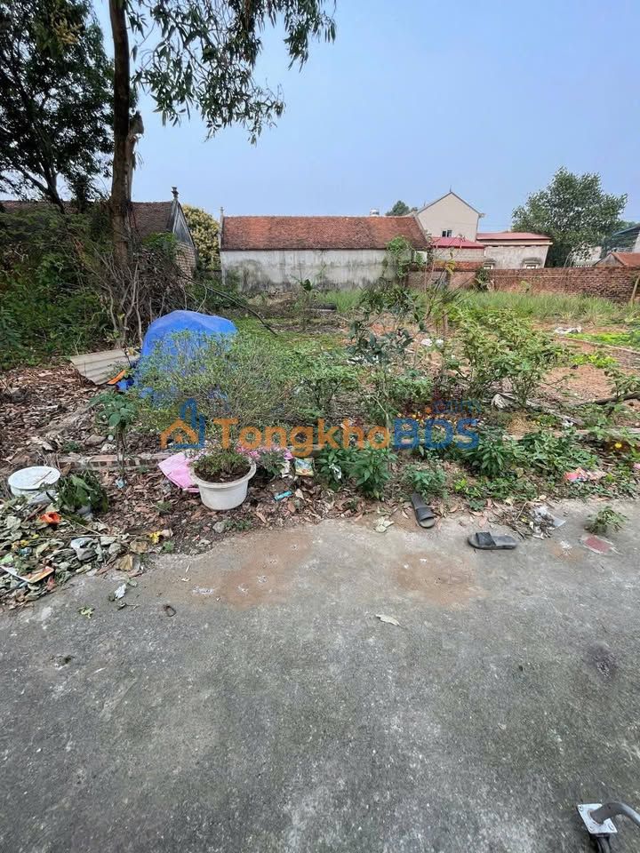 Đất nền Đông Xuân Quốc Oai 88m² 1,6 tỷ - Sổ đỏ chính chủ