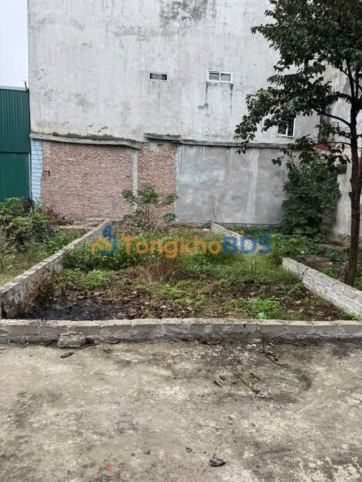 Căn hộ Ái Mỗ Sơn Tây 51m² 2 tỷ - Bàn giao ngay