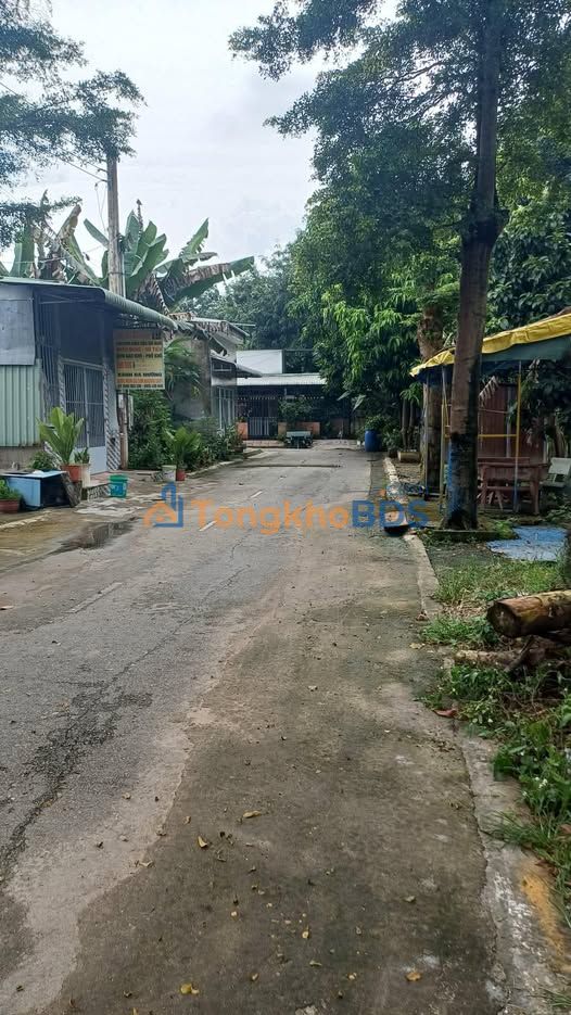 Dãy trọ An Tây Bến Cát 100m² giá 1.4 tỷ - Sẵn sàng ở ngay