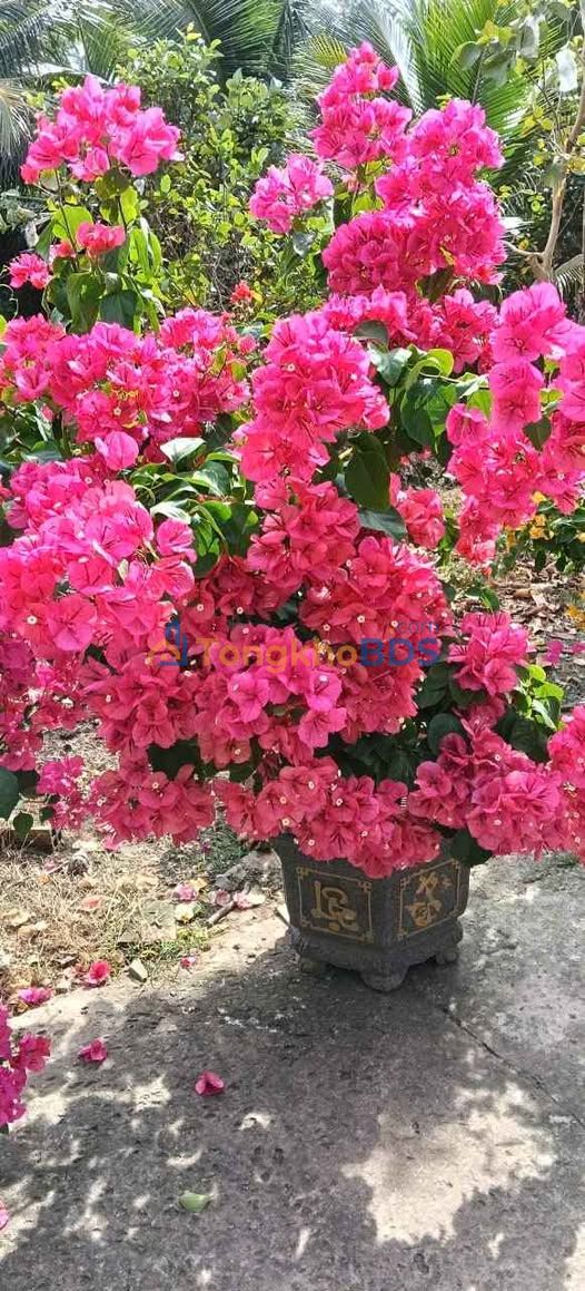 Đất Quốc lộ 57B Tân Phú 300m² giá 6 tỷ - Đường to ô tô