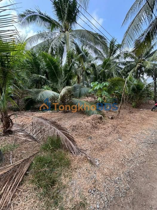 Đất nền Lương Hòa Trà Vinh 438m² 420 triệu - Sổ đỏ chính chủ