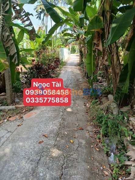 Đất Mặt Tiền Đường Đan Sa Đéc 134m² - Sổ Hồng Sẵn Sàng