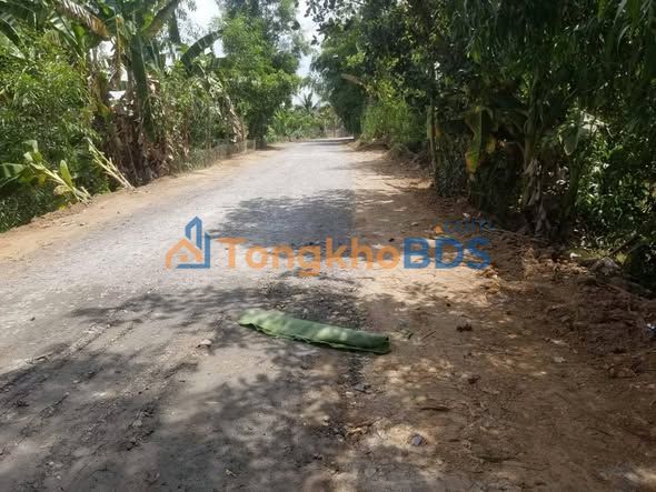 Bán 2.1 công đất lúa Tân Phú Trung, Sa Đéc - 1.9 tỷ, ô tô tới đất