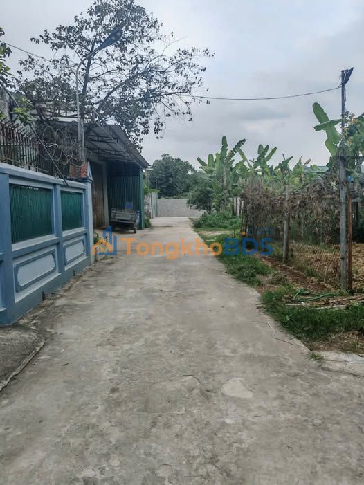 Đất nền Nho Quan 66m² giá 700-799 triệu - Đường to ô tô