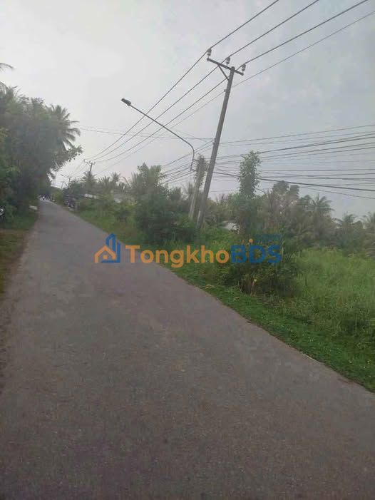 Đất Nền Mặt Tiền Lộ Nhựa 2189m² - Gần KCN Phong Nẫm, Bến Tre