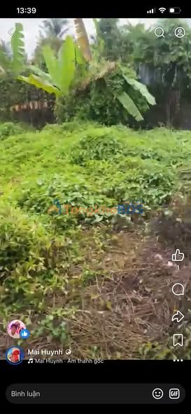 Bán Đất Nền Châu Thành Bến Tre 163m² - Sổ Hồng Sẵn Sàng