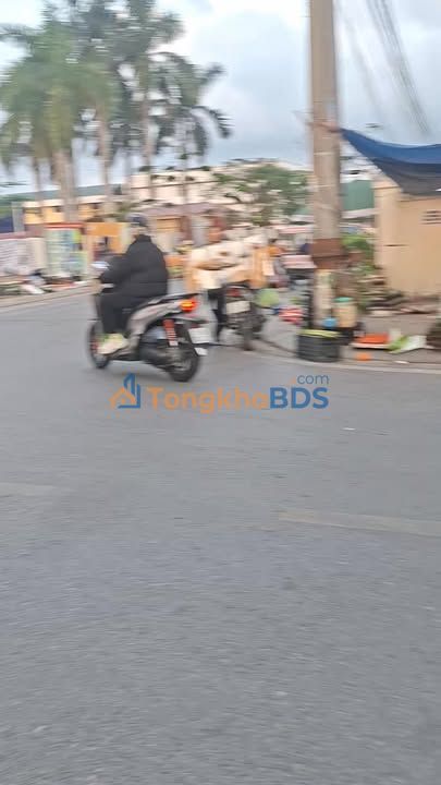 Đất nền 1005m² An Dương, HP - Sổ đỏ, sát chợ, ngõ ô tô