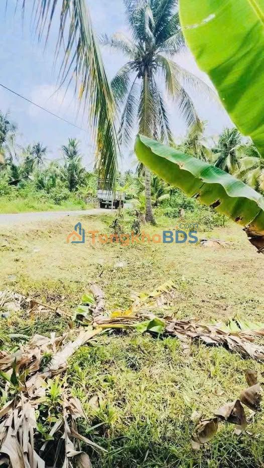 Đất nền Mỏ Cày Bắc 800m² 700 triệu - Sổ đỏ chính chủ