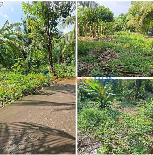 Đất nền Quới Sơn 335m² giá 590 triệu - Sổ đỏ chính chủ