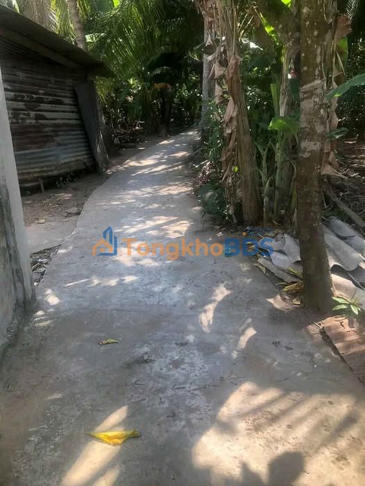 Nhà riêng Thị trấn Giồng Trôm 78m² 700 triệu - Chính chủ bán