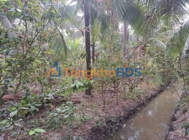 Đất vườn Phú Hưng 5.544m² 3.603405 tỷ - Đầu tư dài hạn