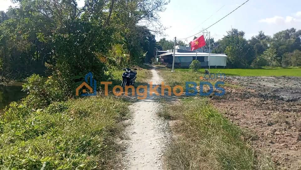 Đất Lúa 1280m² Mặt Tiền Lộ Hoà Long, Lai Vung - Giá Tốt 1.3 Tỷ