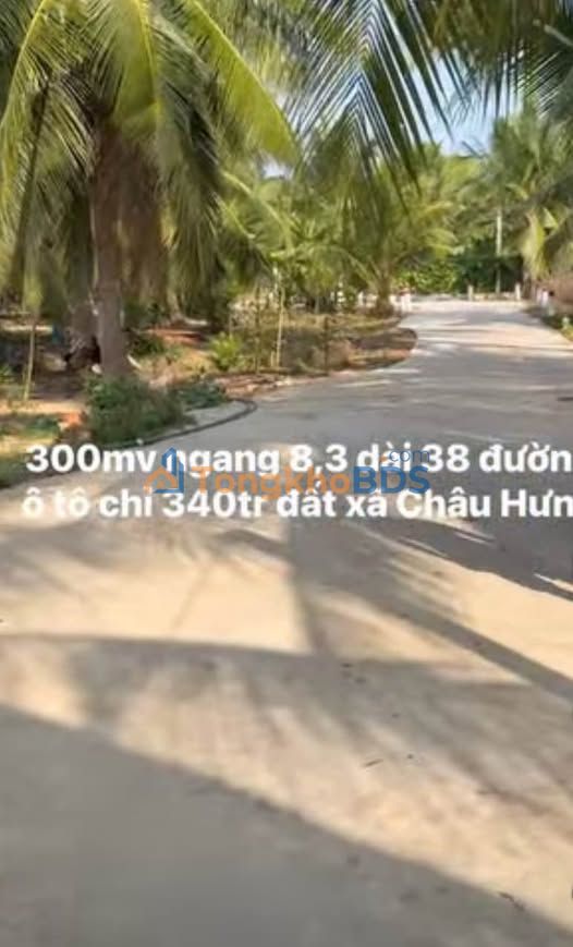 Đất nền Bình Đại Châu Hưng 300m² 340 triệu - Sổ đỏ chính chủ