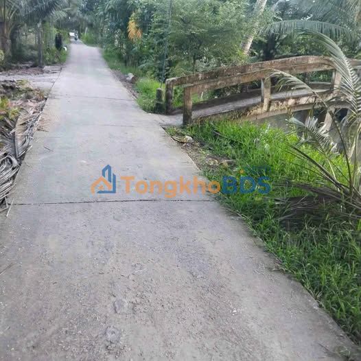 Đất nền Ấp 5 Châu Bình 4.370m² 1,53 tỷ - Sổ đỏ chính chủ