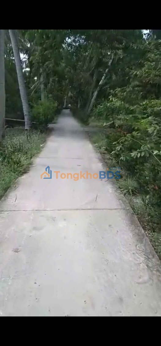 Đất vườn Châu Bình 3,7 công 1,665 tỷ - Sinh thái xanh