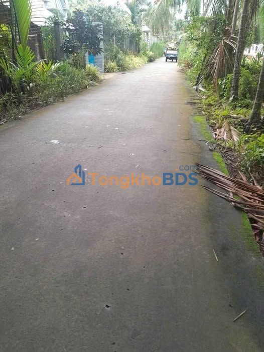 Đất nền Bình Hoà Giồng Trôm 626m² 1,05 tỷ - Sổ đỏ chính chủ