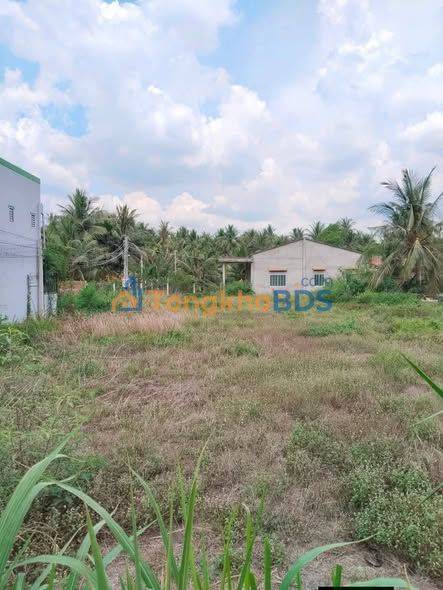 Đất nền Vang Quới Đông 800m² giá 48 tỷ - Tiềm năng tăng giá