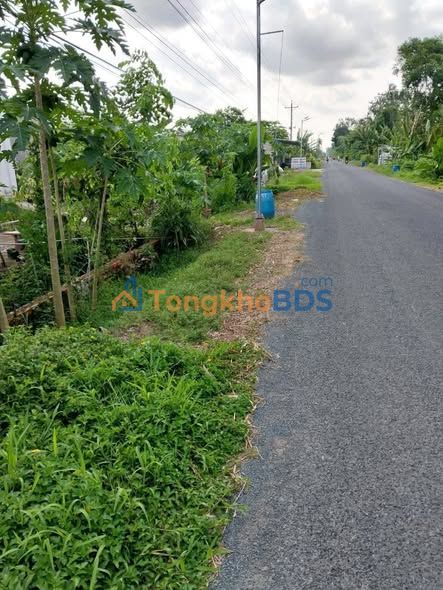 Đất nền Sa Đéc Tầm Vu 500m² 1.5 tỷ - Sổ đỏ chính chủ