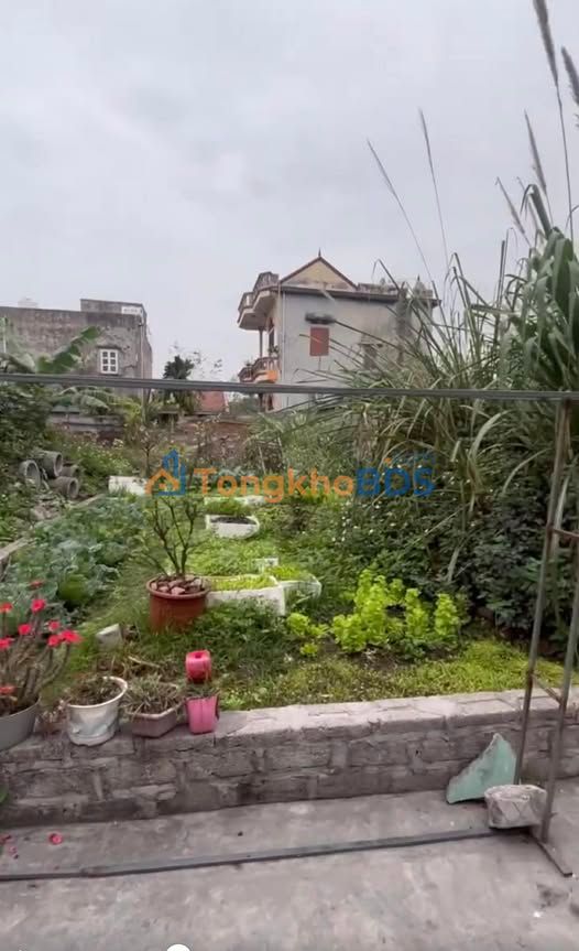 Dat nen Nam Son 1 Cam Pha 77m2 800 trieu - Dau tu sinh loi