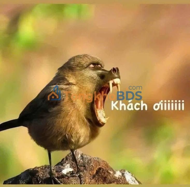 Đất nền Lô Tư Bình Hưng Hoà A 144m² 7,9 tỷ - Pháp lý rõ ràng