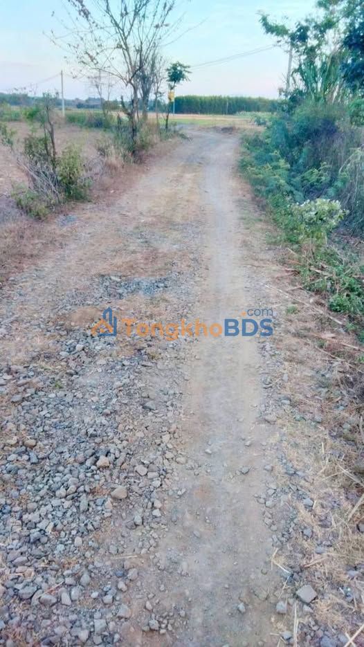 Đất Vườn 4680m² Đường Nhựa VLAX Hùng, Đức Long, Long Khánh - Sổ Đỏ 3.5 Tỷ