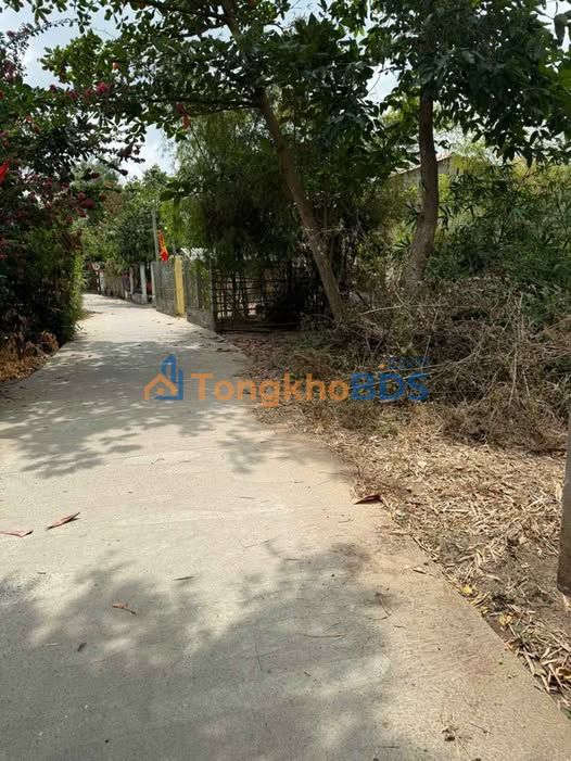 Đất Hòa Lợi Trà Vinh 149m² 350 triệu - Đường ô tô