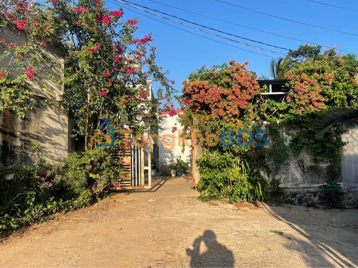 Đất nền Buôn Ma Thuột hẻm Lê Chân 65m² 1.75 tỷ - Sổ đỏ chính chủ