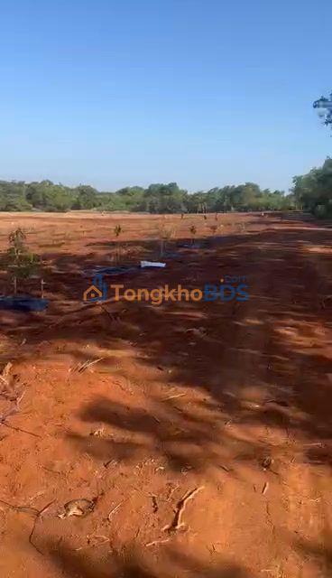 Bán Gấp Farm 3.2 Hecta Mặt Tiền Sông Tại Bình Phước - Tiềm Năng Nghỉ Dưỡng