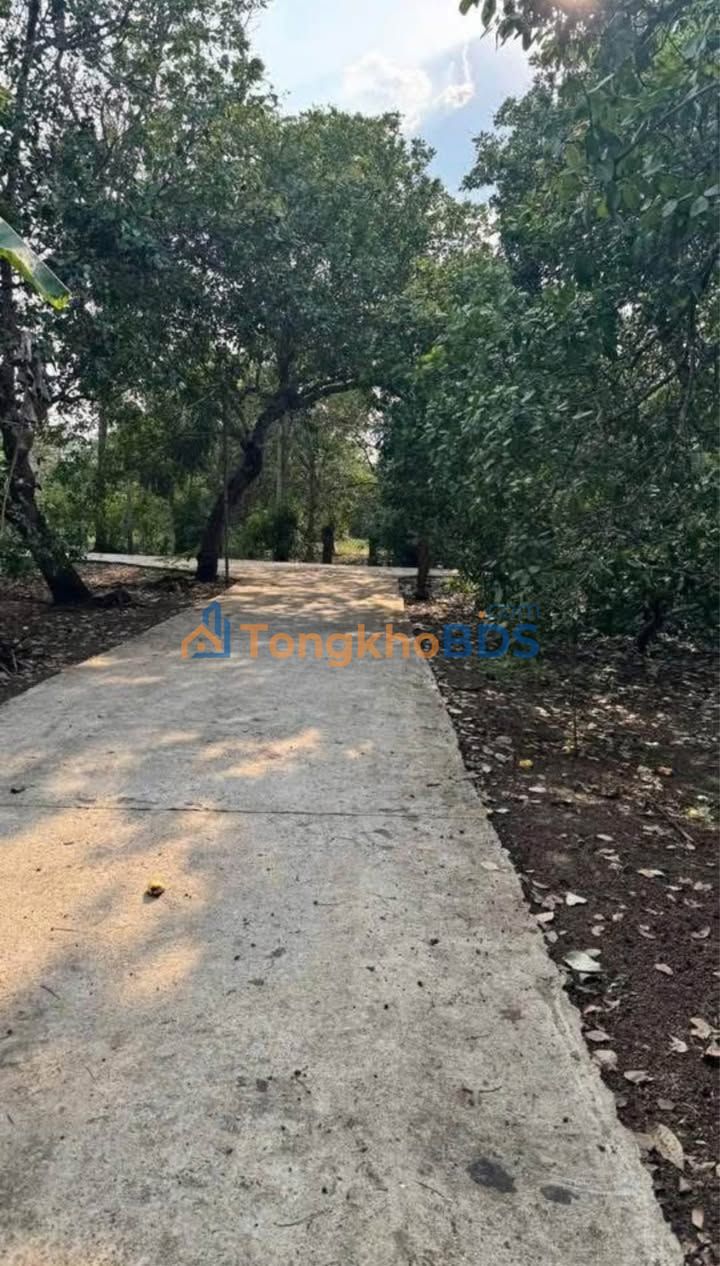 Đất nền Thanh Tuấn 720m² giá 7xx triệu - Sổ đỏ chính chủ