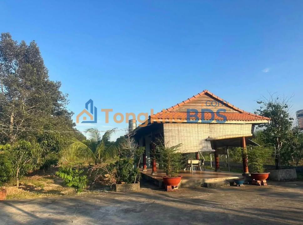 Farm An Điền Bến Cát 1.535m² 3.2 tỷ - Sổ đỏ chính chủ