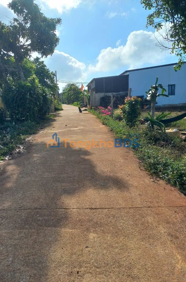 Đất vườn Hẻm Hoàng Quốc Việt Buôn Hồ 250m² 1.15 tỷ - Đầu tư dài hạn