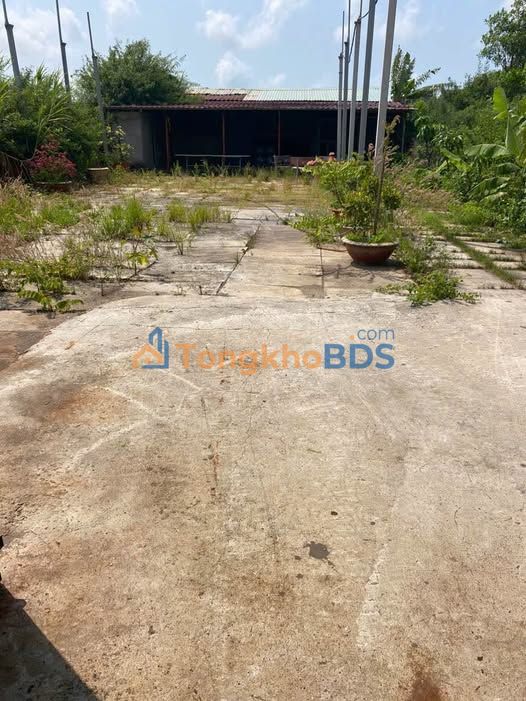 Xưởng P.12 Vũng Tàu 800m² 20 triệu - Hoạt động ngay