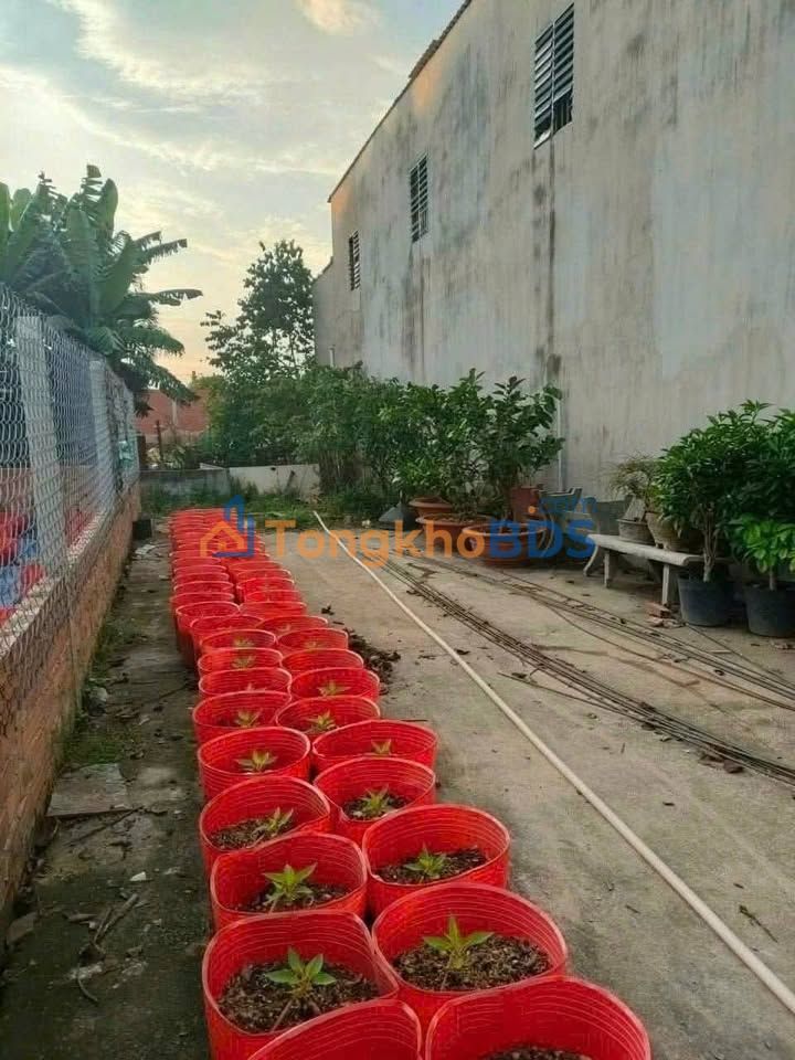 Nhà hẻm 14 Tân Hiệp Hóc Môn 120m2 950 triệu - Chính chủ bán gấp