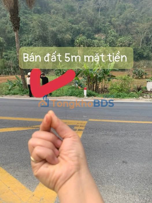 Đất Phúc Ứng Sơn Dương 150m² giá 2 tỷ - Đường ô tô