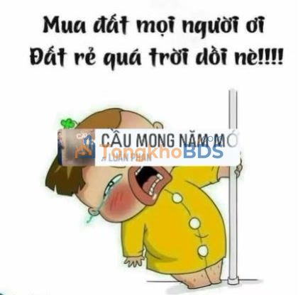 Đất nền Xã Đắk R'La Đắk Mil 21.000m² 2.6 tỷ - Pháp lý rõ ràng