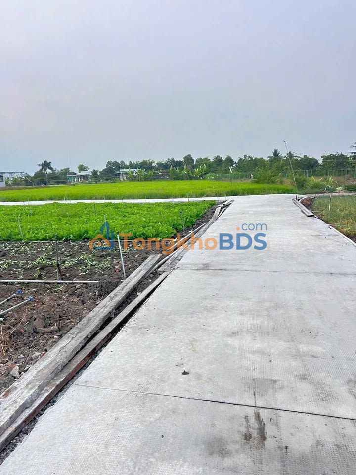 Đất nền Long An E Hoi 135m² 750 triệu - Tiềm năng tăng giá