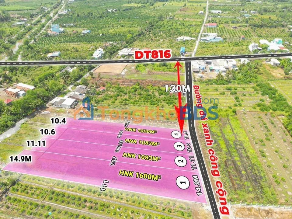 Đất vườn Thạnh Hòa Bến Lức 1000m² 890 triệu - Sổ đỏ chính chủ