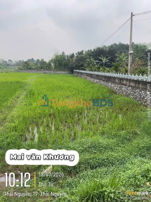 Đất nền Tân Cương 464m² 556.8 triệu - Sổ đỏ chính chủ