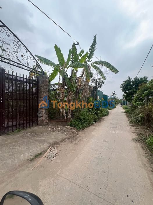 Đất nền Yên Mỹ Thanh Trì 193m2 1.5 tỷ - Sổ đỏ chính chủ