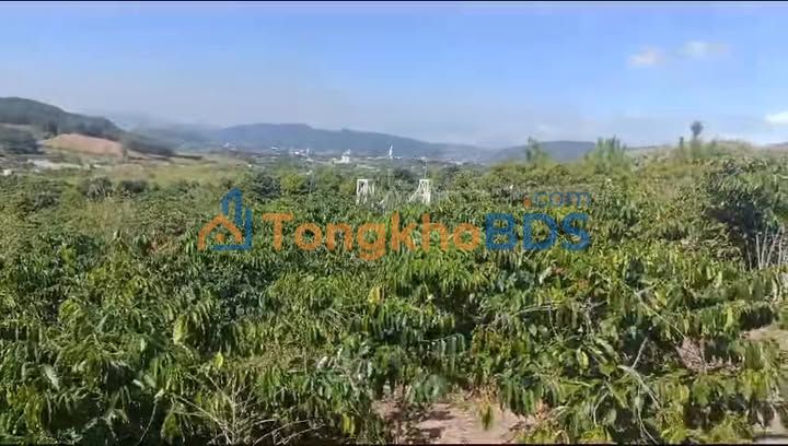 Đất Gia Lâm Lâm Hà 1000m² 2.5 tỷ - Thổ cư 100%