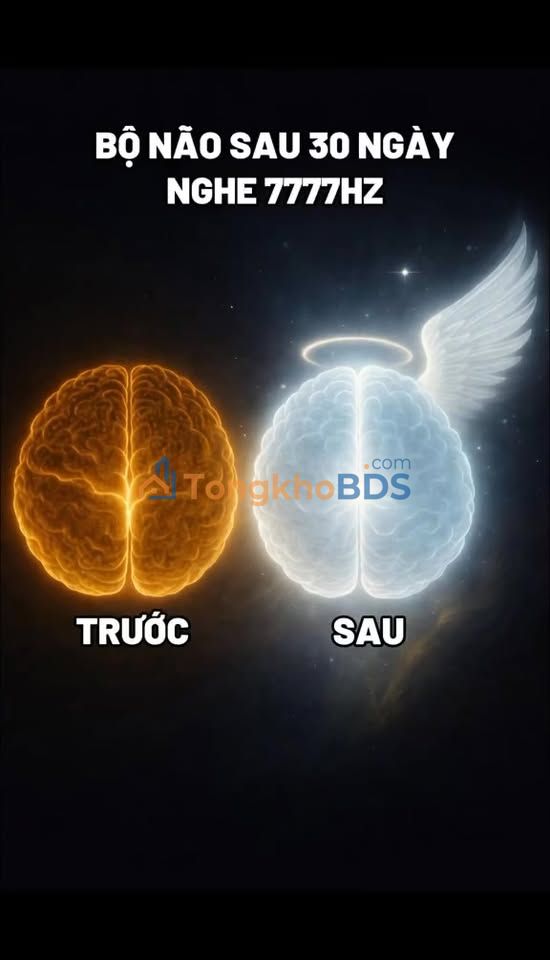 Nhà mặt đường Hà Thanh Nha Trang 90m² - Chủ nhà cho thuê full nội thất