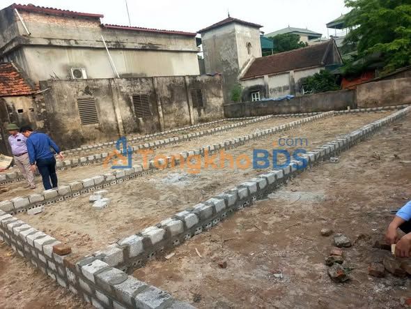 Đất Nền Thường Tín 58.5m² Sổ Đỏ Sẵn Sàng - Giá 5 Tỷ Ô Tô Đỗ Cửa