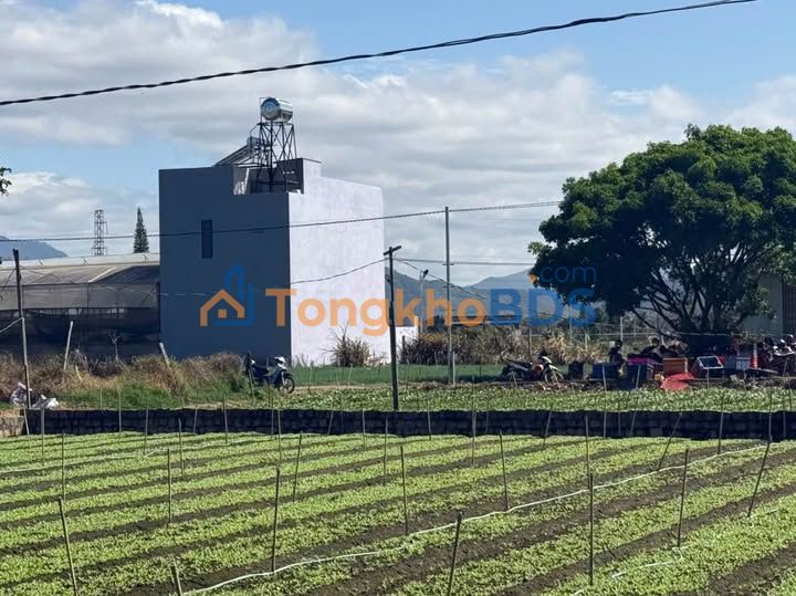 Đất nền Phú Hội Đức Trọng 135m² 910tr - Tiềm năng tăng giá